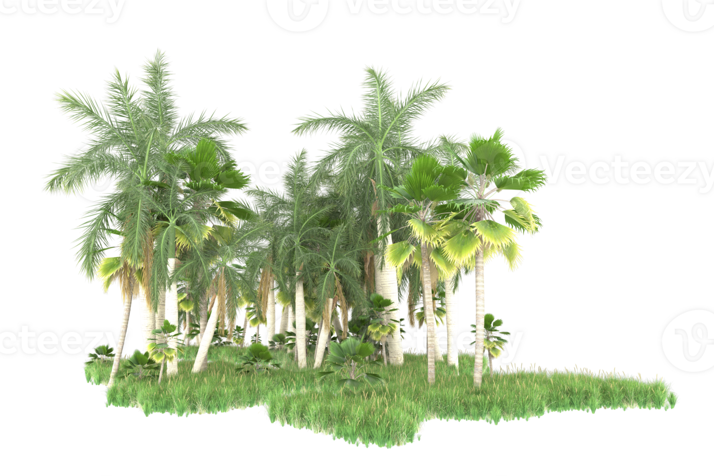 Realistic forest isolated on transparent background. 3d rendering - illustration png