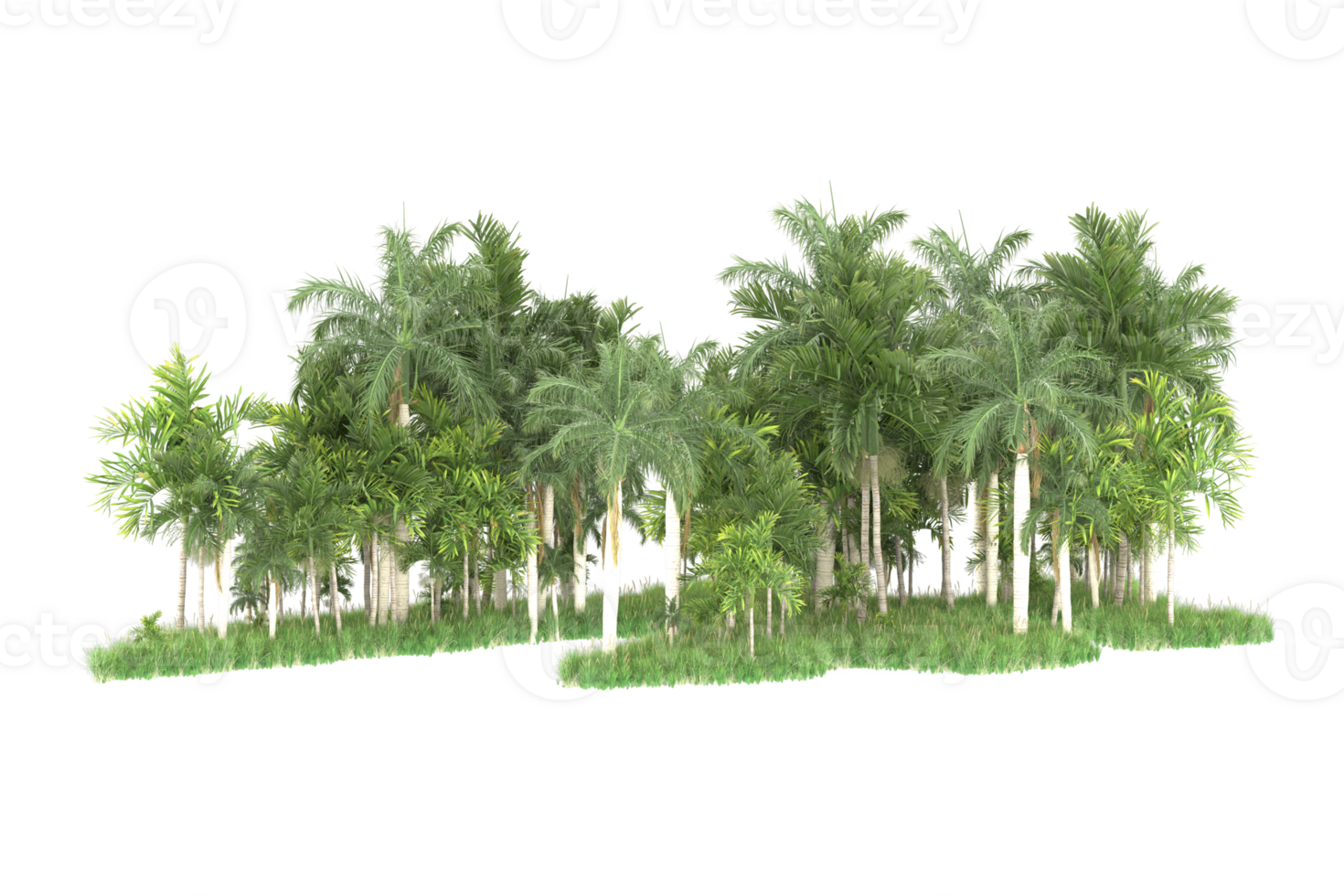 Realistic forest isolated on transparent background. 3d rendering - illustration png
