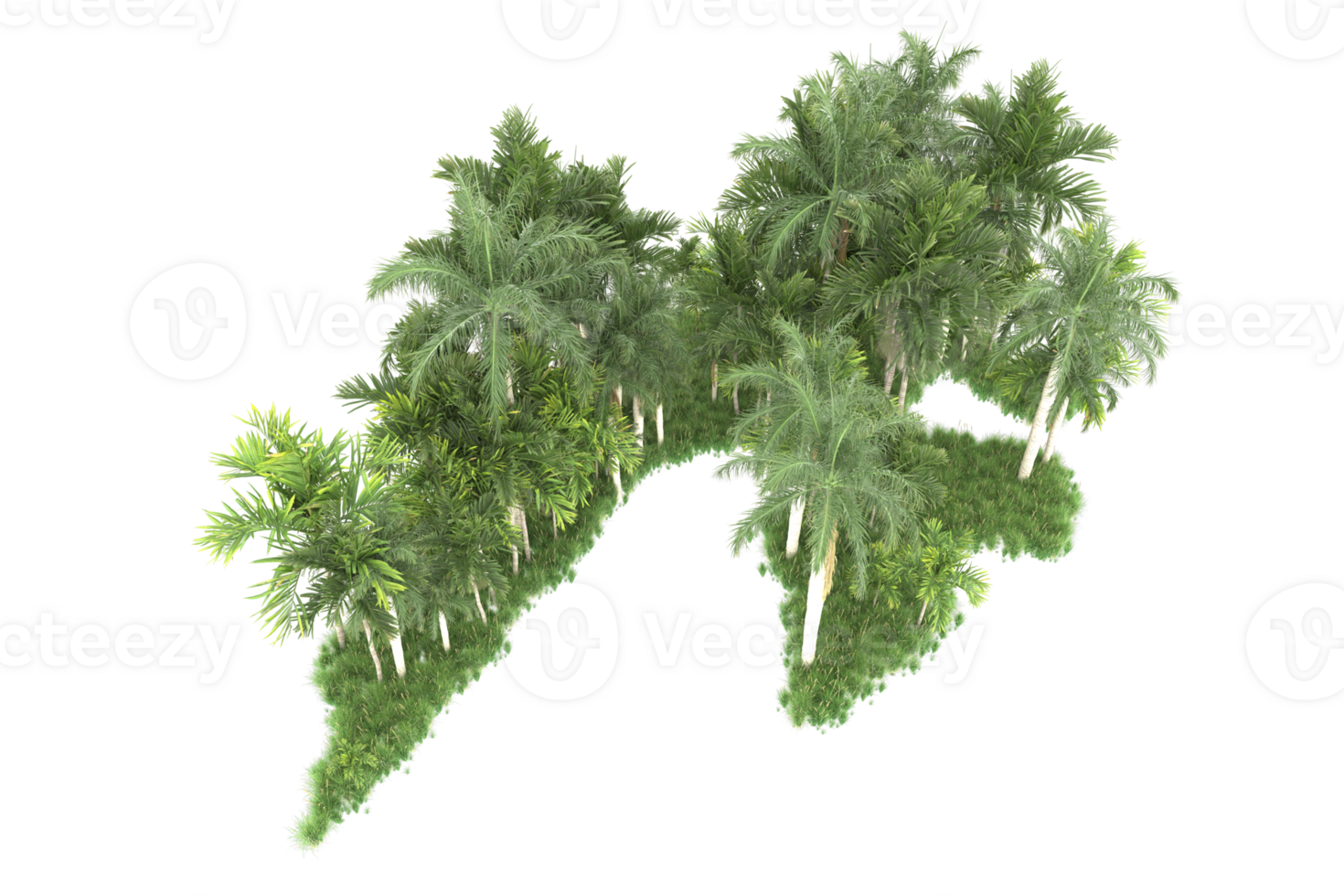 realistico foresta isolato su trasparente sfondo. 3d interpretazione - illustrazione png