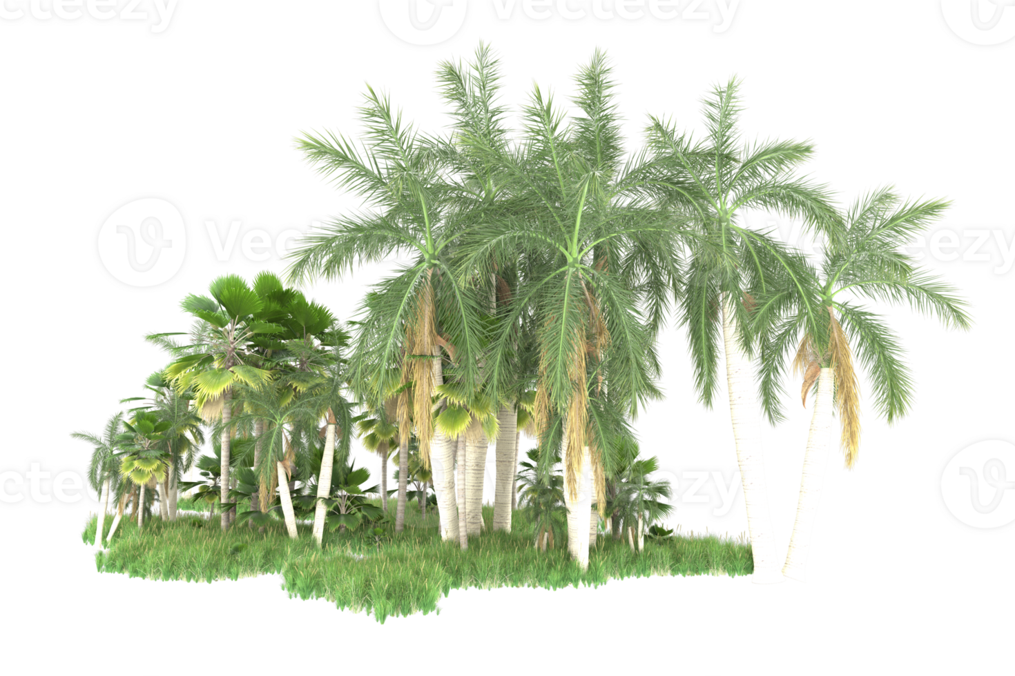 Realistic forest isolated on transparent background. 3d rendering - illustration png