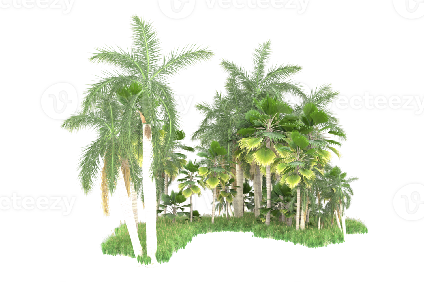 Realistic forest isolated on transparent background. 3d rendering - illustration png