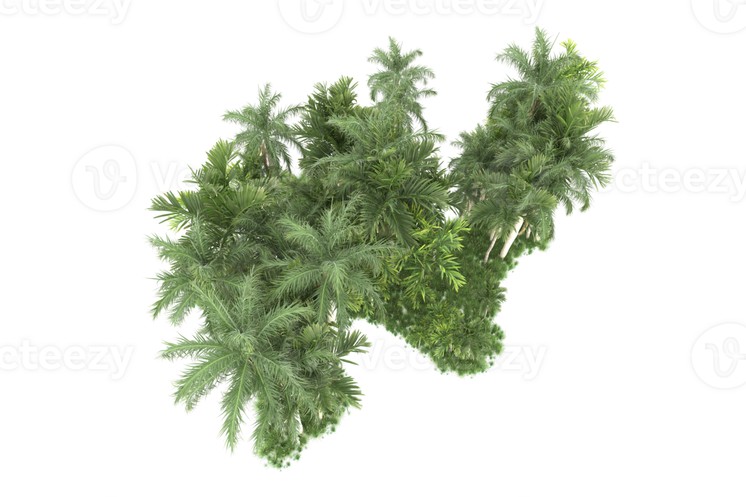 Realistic forest isolated on transparent background. 3d rendering - illustration png