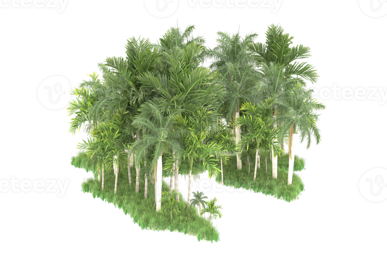 Realistic forest isolated on transparent background. 3d rendering - illustration png