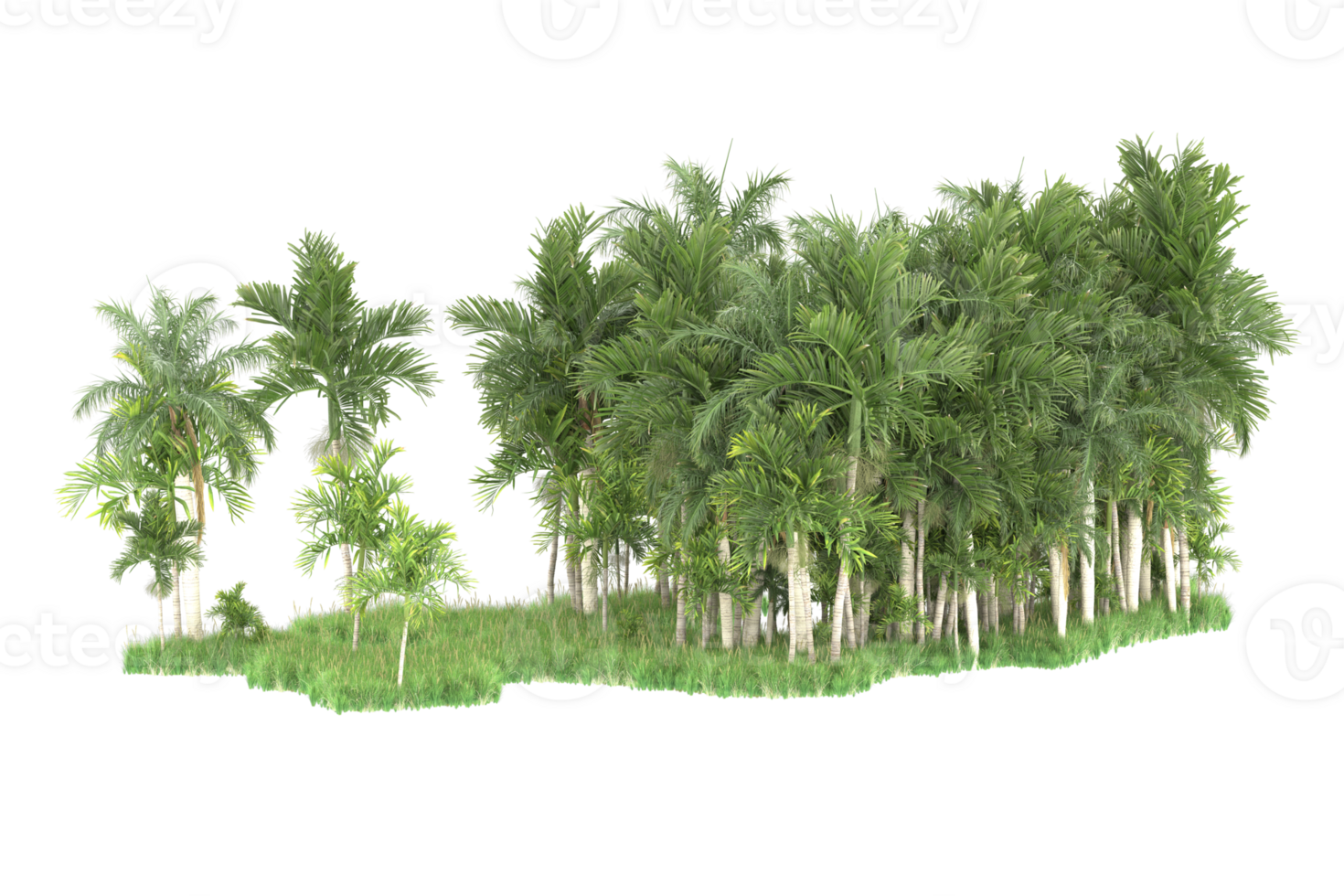 Realistic forest isolated on transparent background. 3d rendering - illustration png