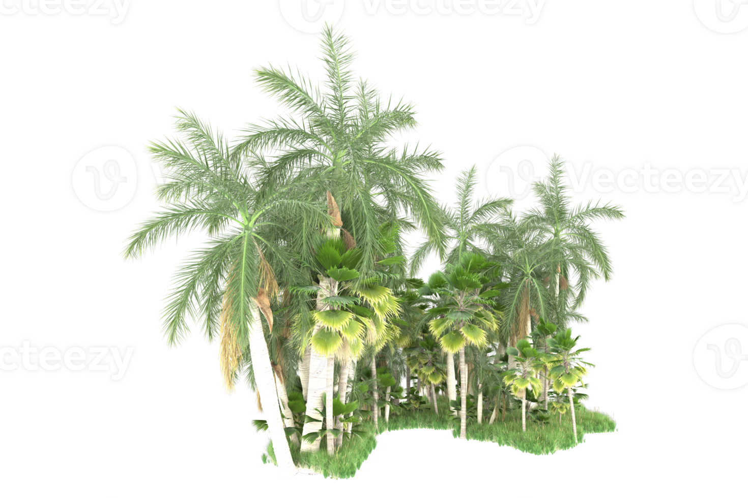 Realistic forest isolated on transparent background. 3d rendering - illustration png