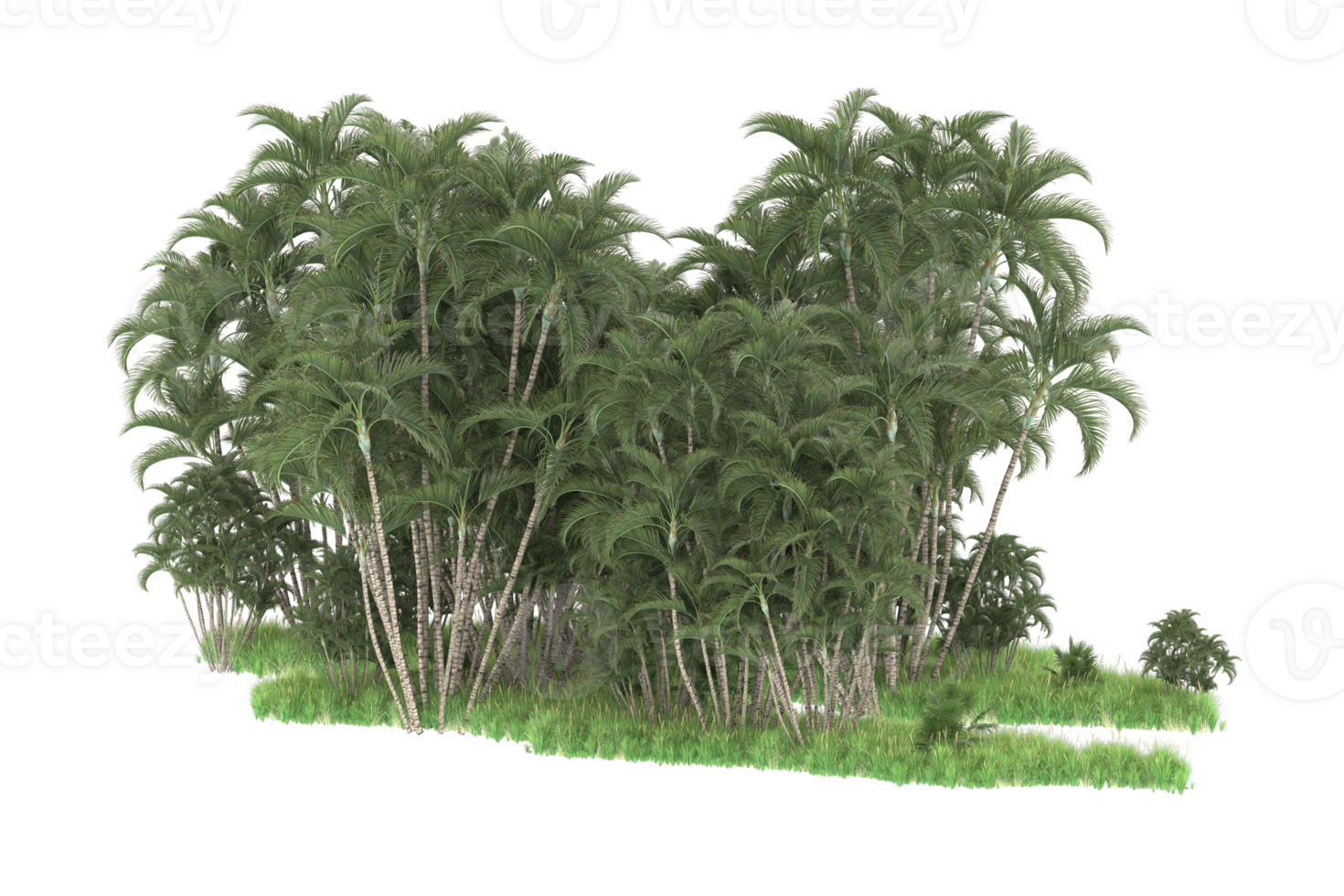 Realistic forest isolated on transparent background. 3d rendering - illustration png