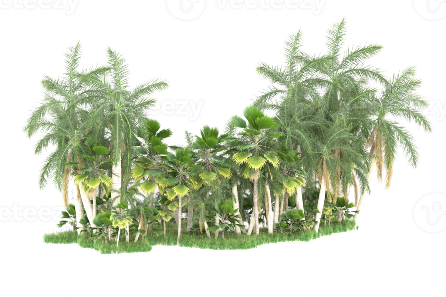 Realistic forest isolated on transparent background. 3d rendering - illustration png
