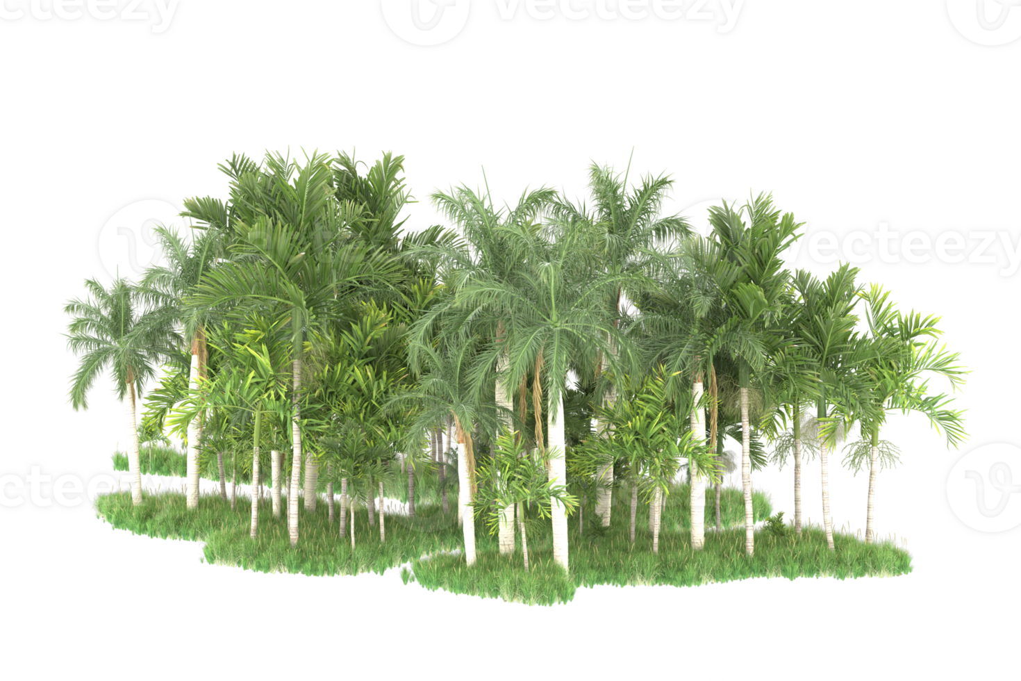 Realistic forest isolated on transparent background. 3d rendering - illustration png