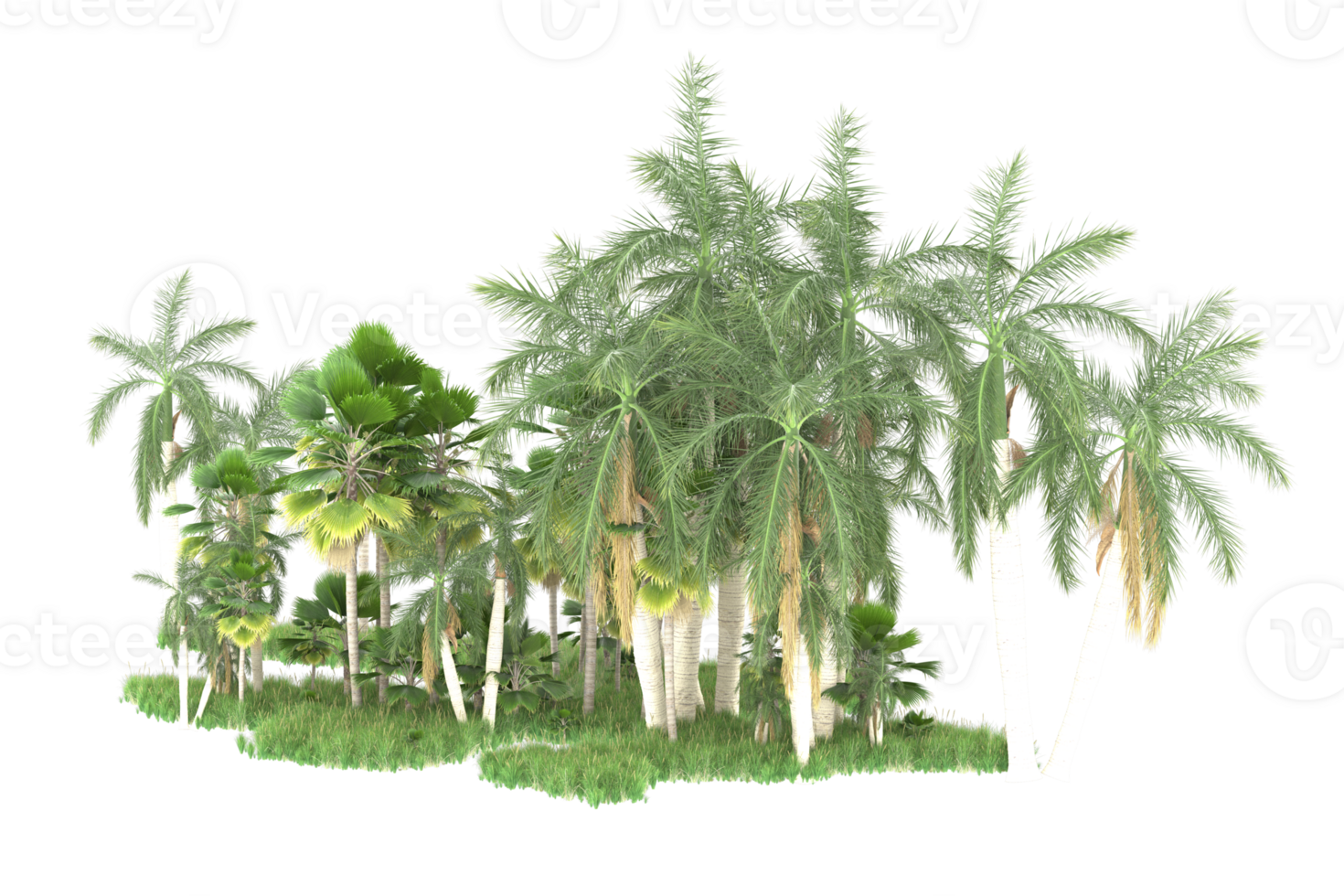 Realistic forest isolated on transparent background. 3d rendering - illustration png
