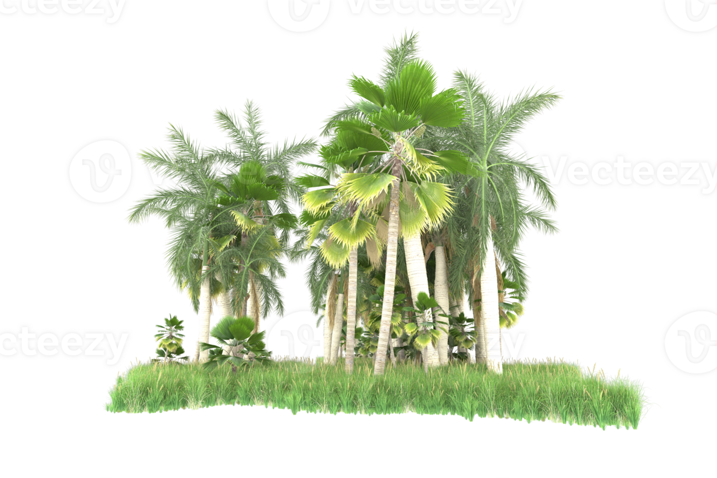 Realistic forest isolated on transparent background. 3d rendering - illustration png