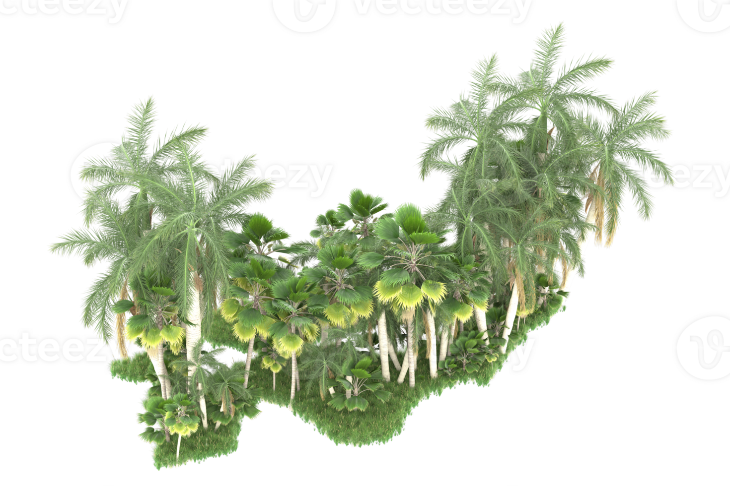 Realistic forest isolated on transparent background. 3d rendering - illustration png