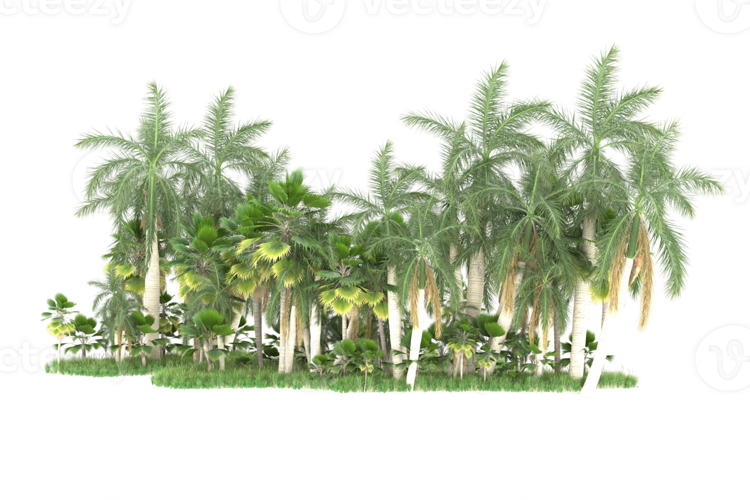 Realistic forest isolated on transparent background. 3d rendering - illustration png