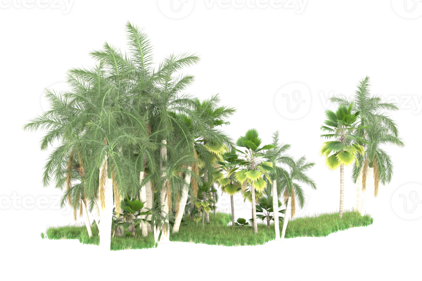 Realistic forest isolated on transparent background. 3d rendering - illustration png