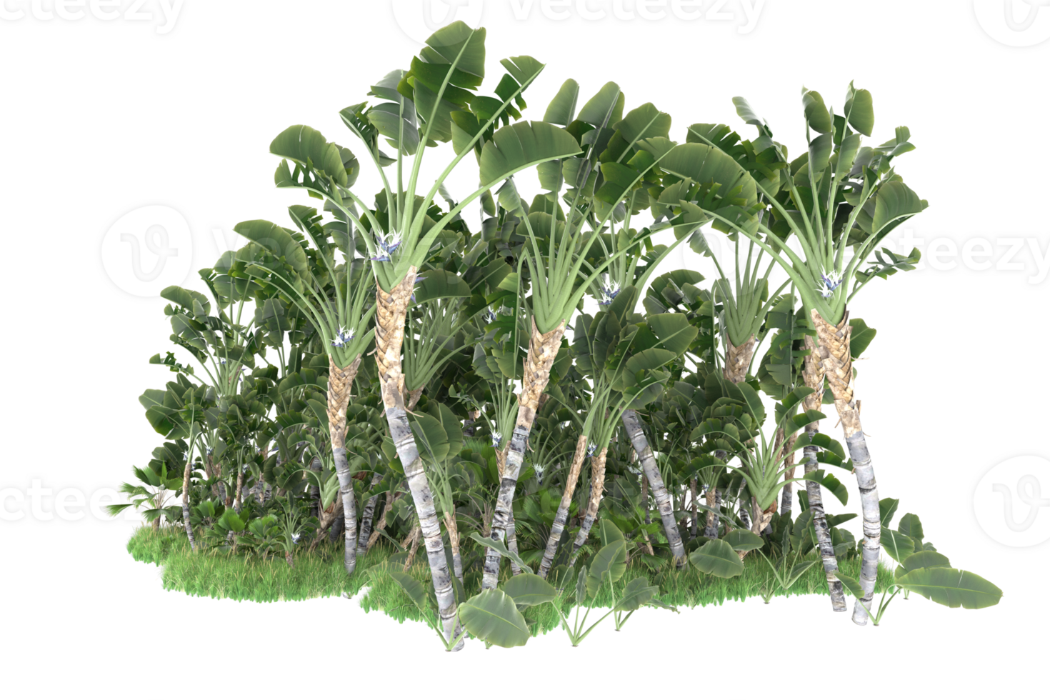 Realistic forest isolated on transparent background. 3d rendering - illustration png