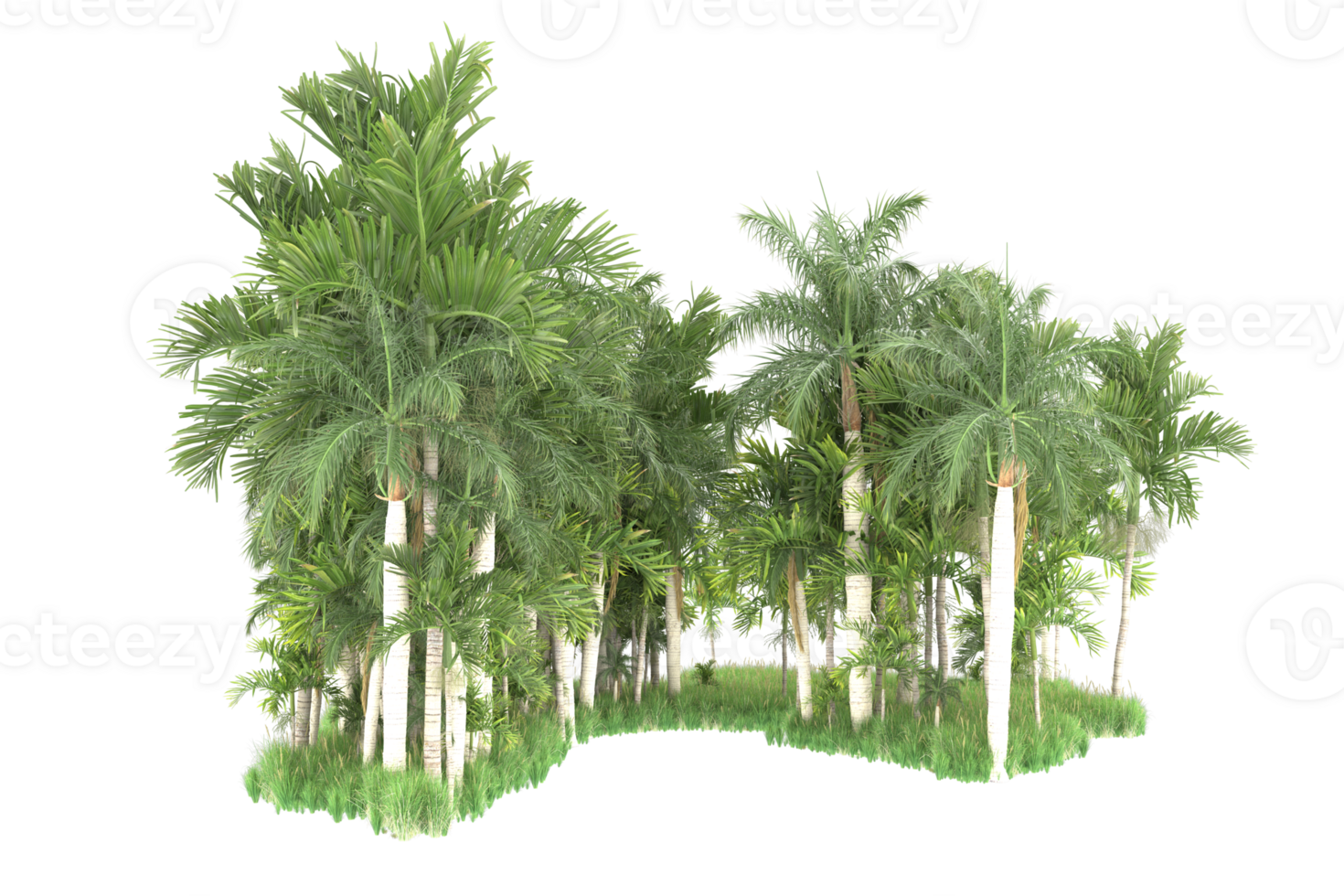 Realistic forest isolated on transparent background. 3d rendering - illustration png