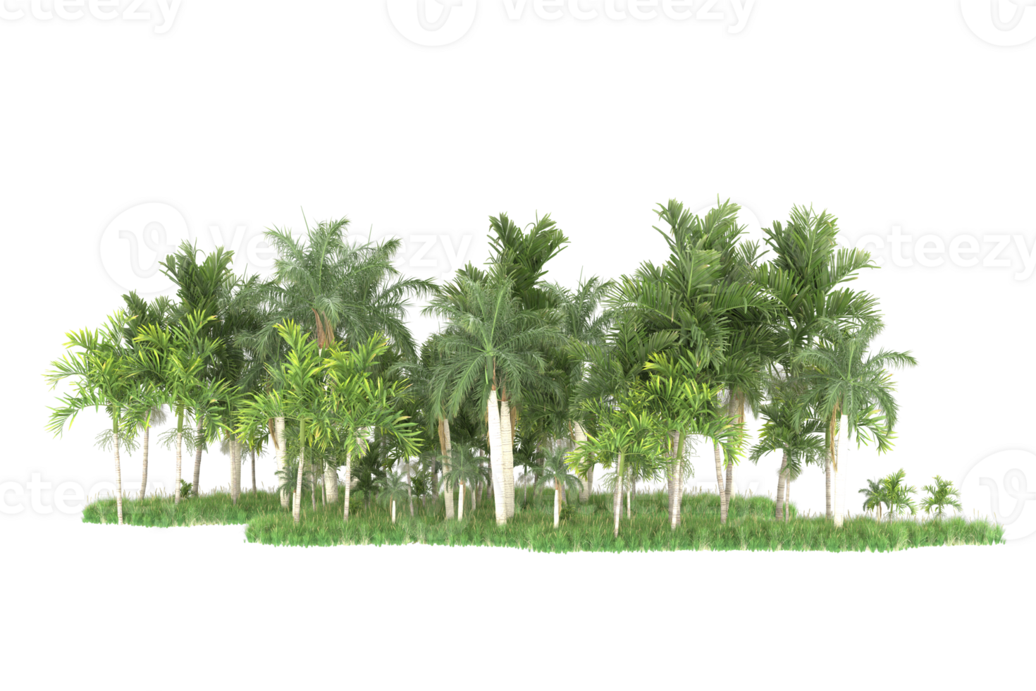 Realistic forest isolated on transparent background. 3d rendering - illustration png