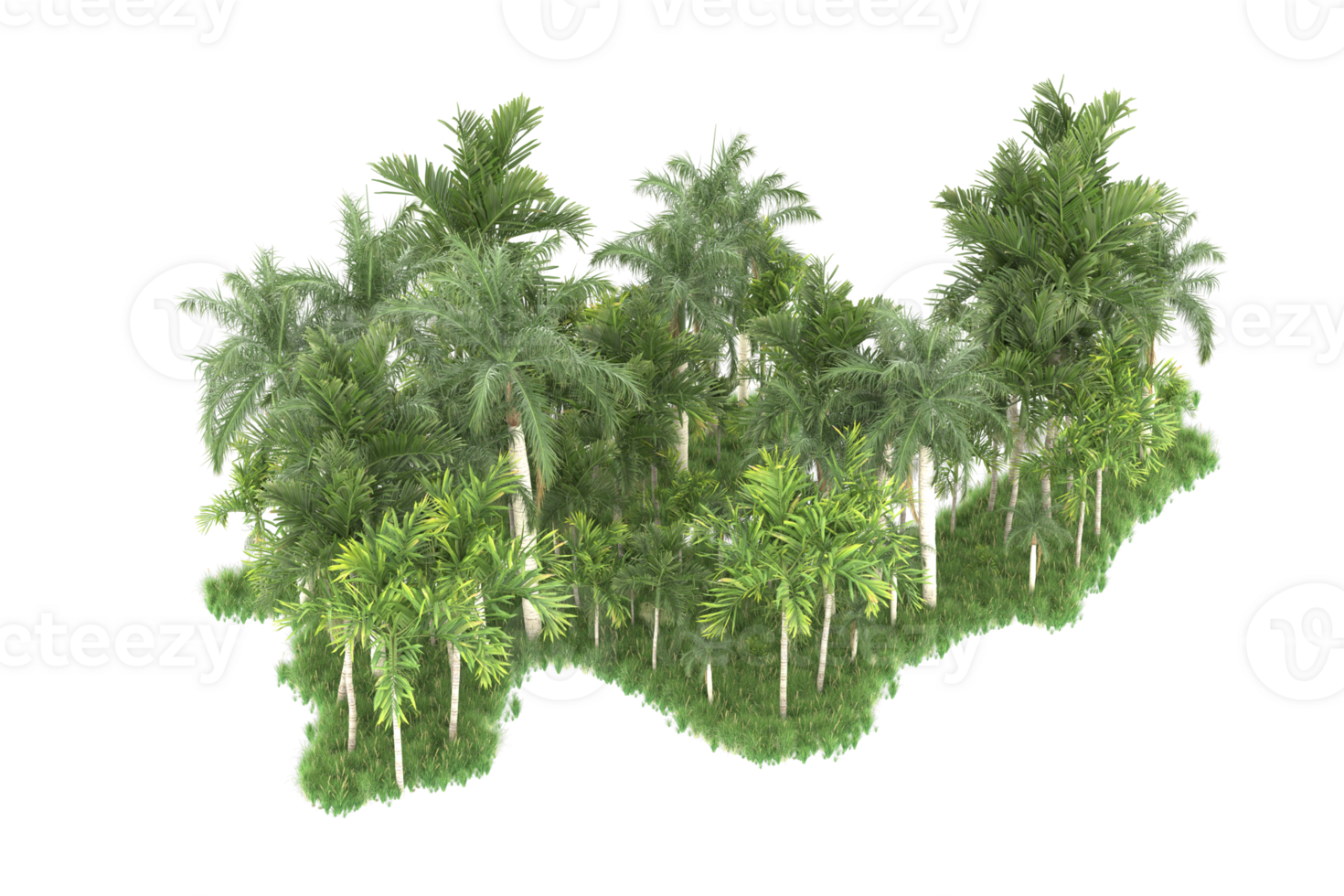 Realistic forest isolated on transparent background. 3d rendering - illustration png