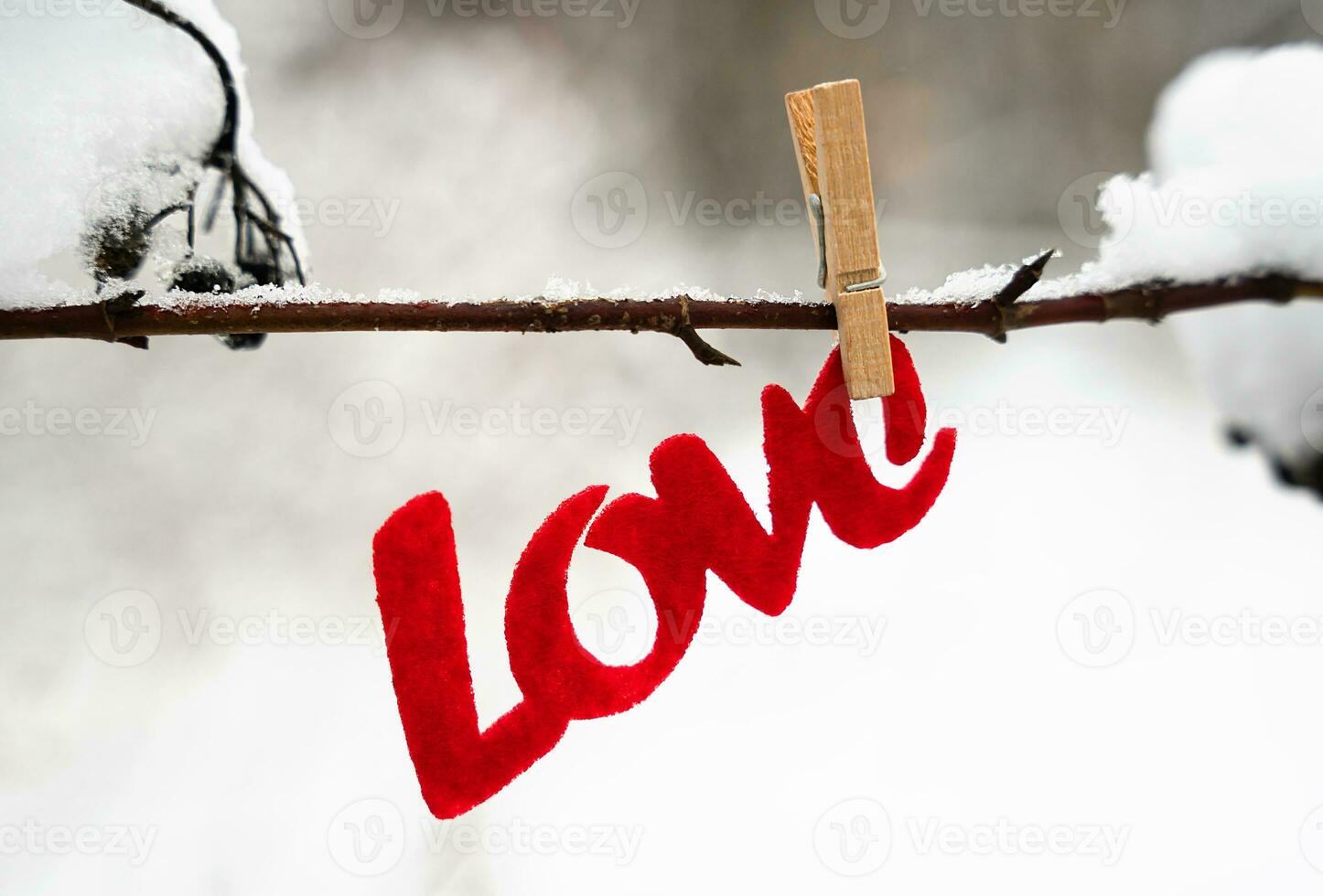 palabra amor colgando en Nevado rama. amor mensaje para San Valentín día. bandera. de cerca. selectivo enfocar. foto