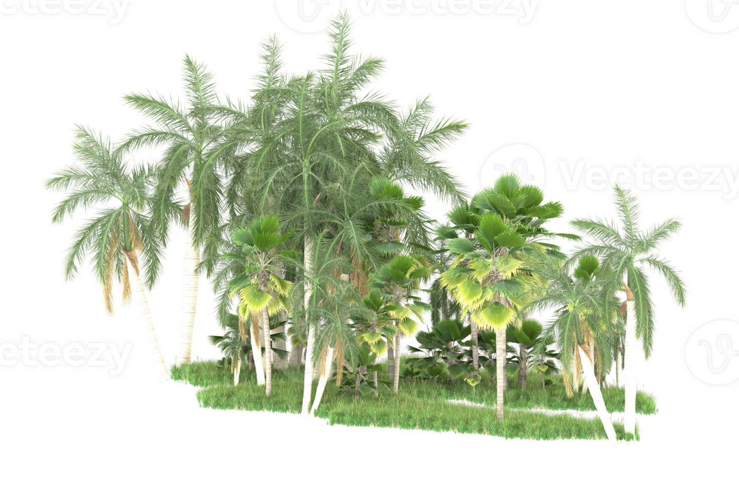Realistic forest isolated on transparent background. 3d rendering - illustration png