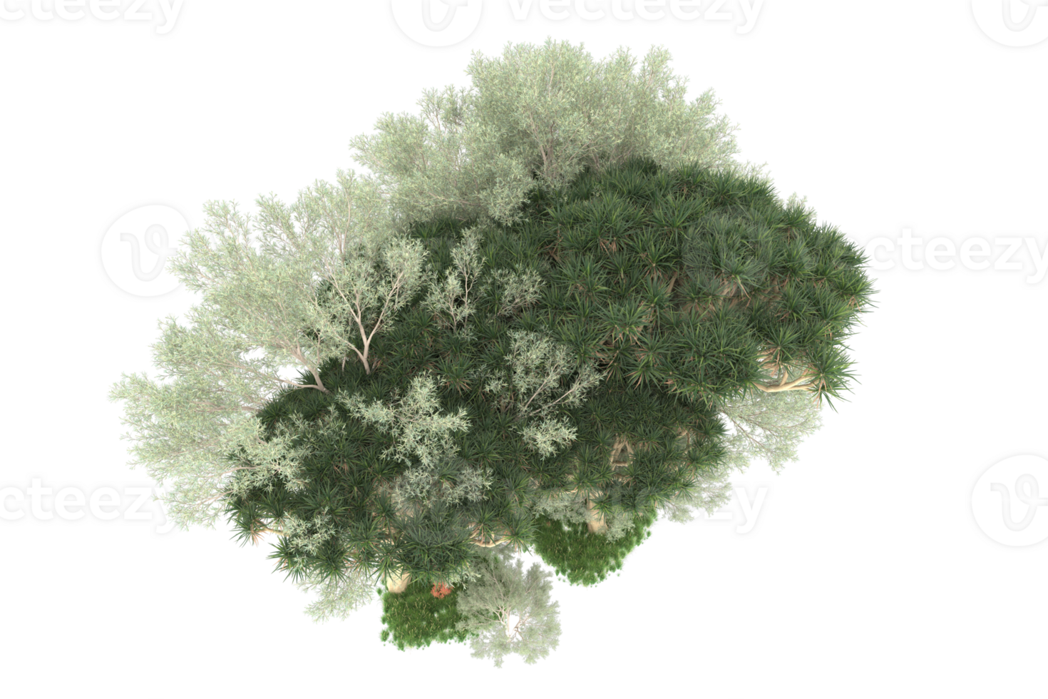 Realistic forest isolated on transparent background. 3d rendering - illustration png