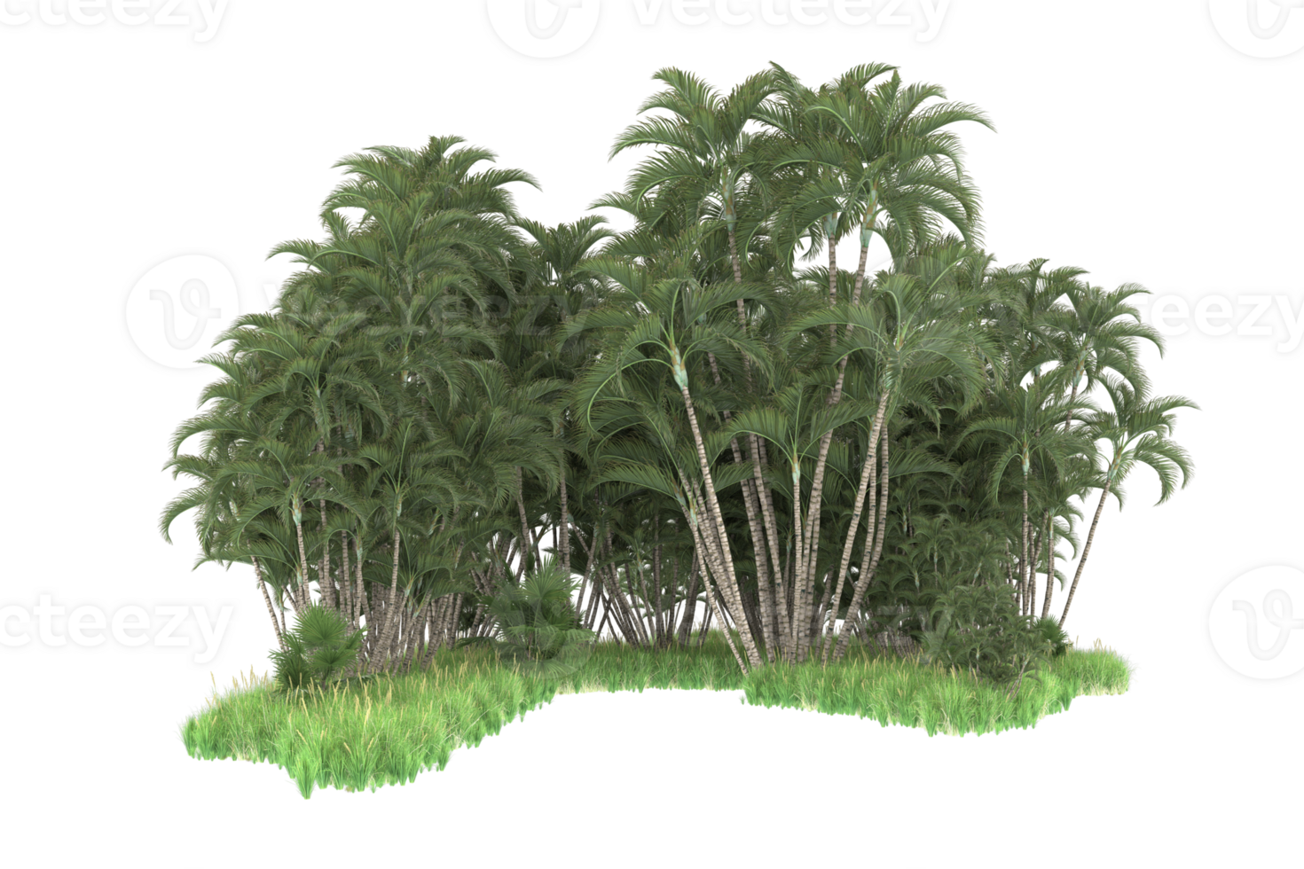 Realistic forest isolated on transparent background. 3d rendering - illustration png
