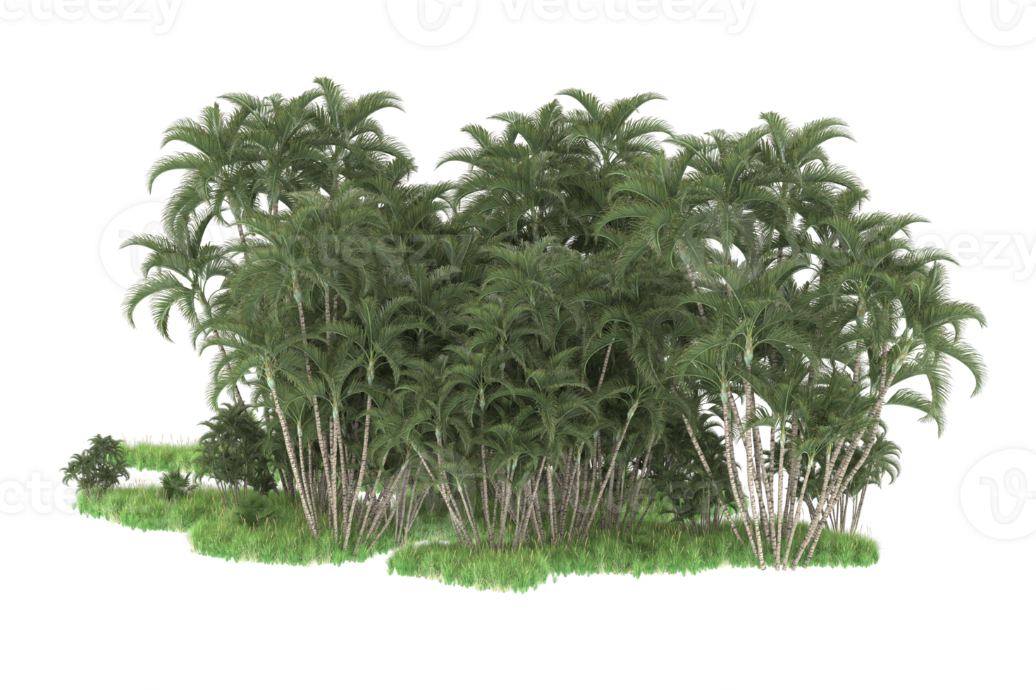 Realistic forest isolated on transparent background. 3d rendering - illustration png