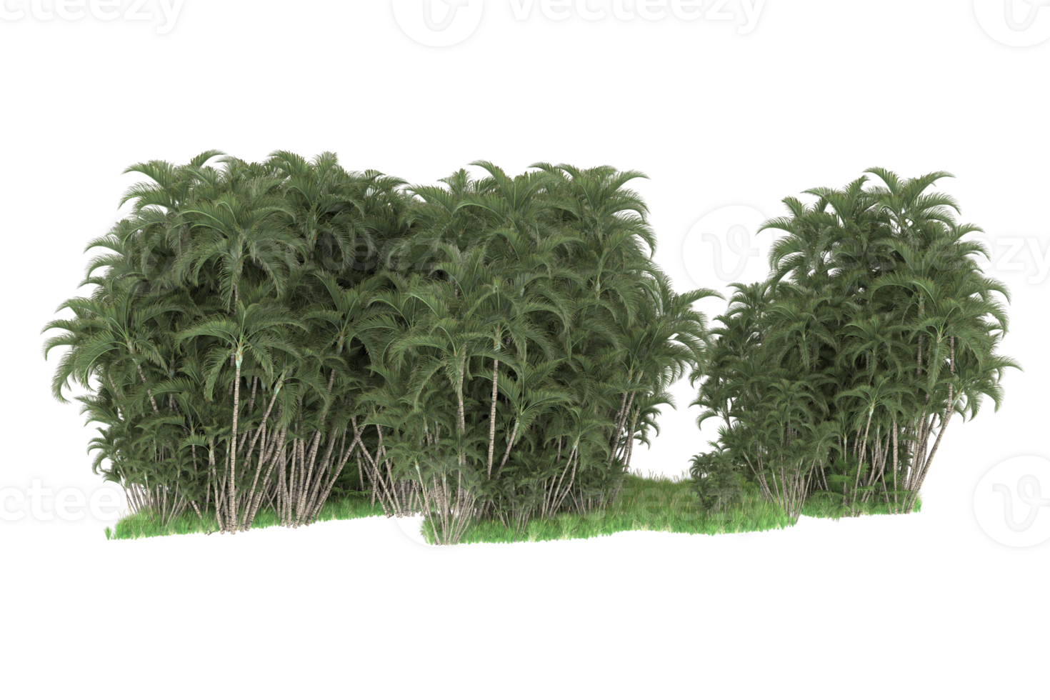Realistic forest isolated on transparent background. 3d rendering - illustration png