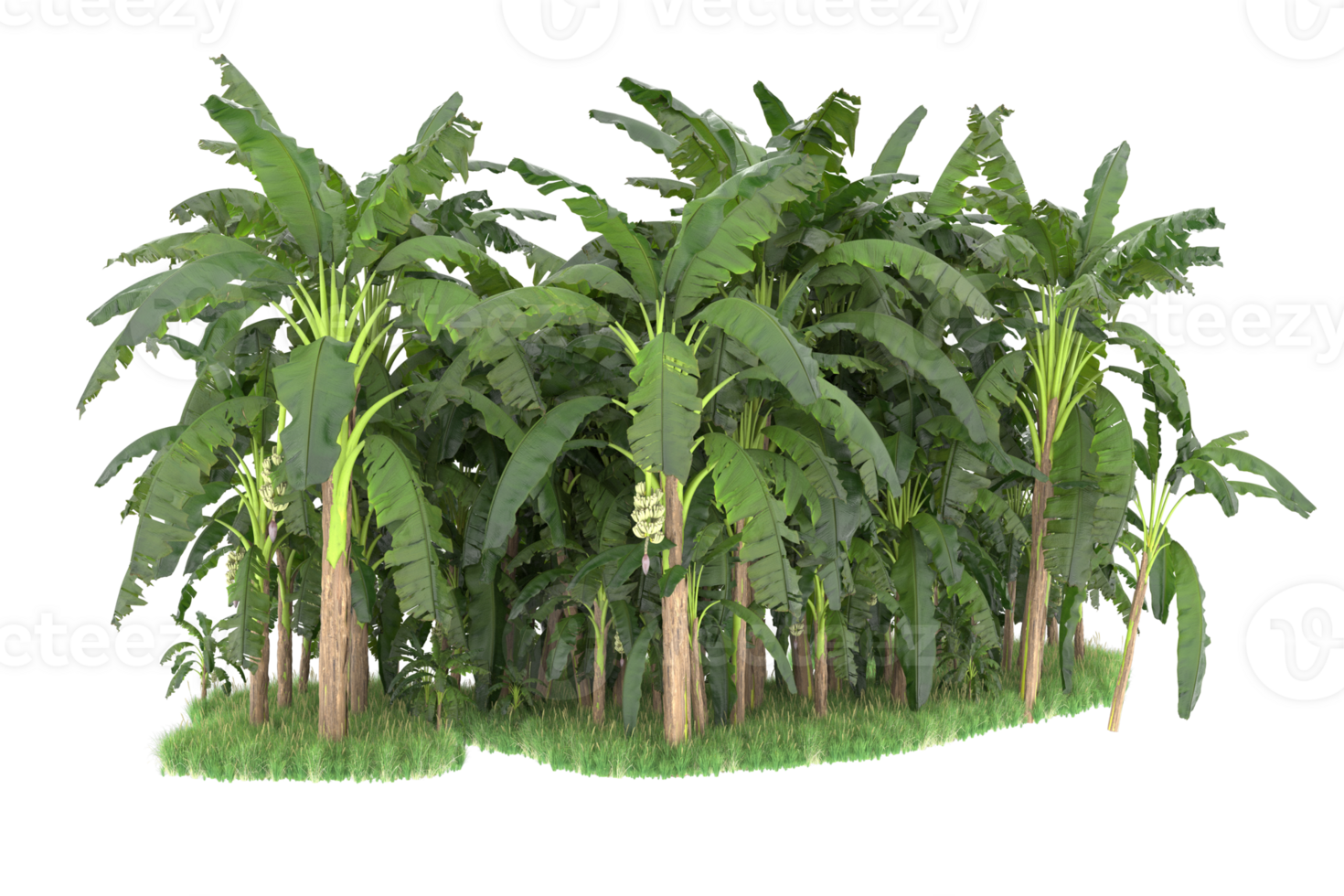 Realistic forest isolated on transparent background. 3d rendering - illustration png