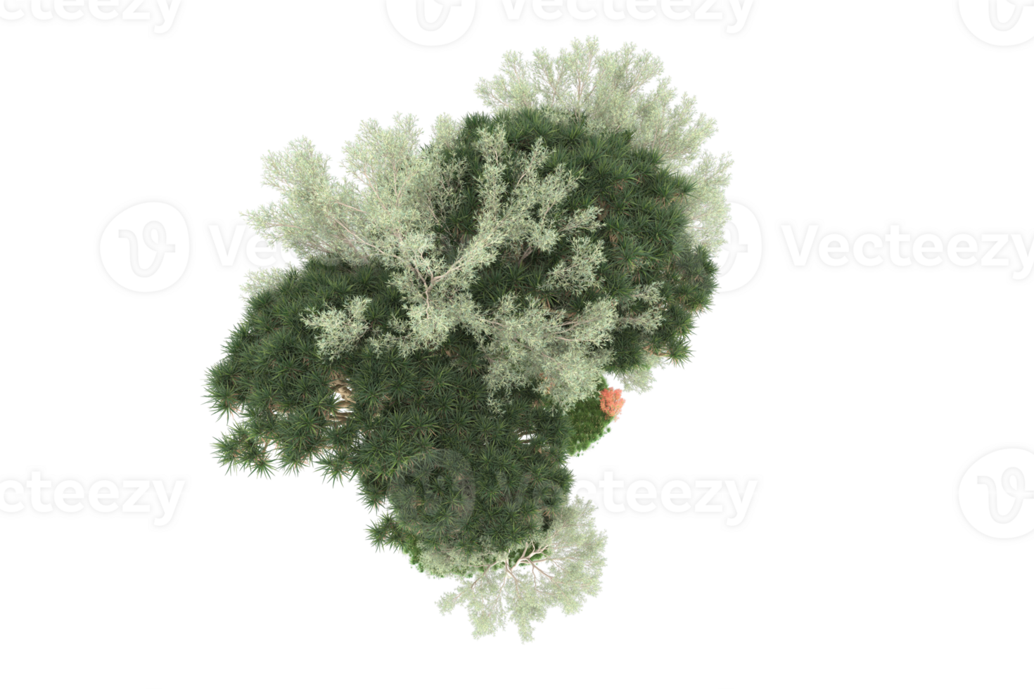 Realistic forest isolated on transparent background. 3d rendering - illustration png