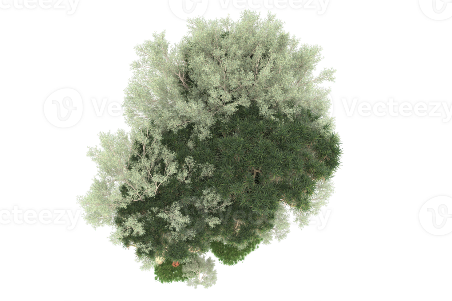 Realistic forest isolated on transparent background. 3d rendering - illustration png