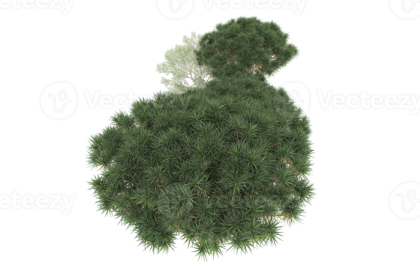 Realistic forest isolated on transparent background. 3d rendering - illustration png