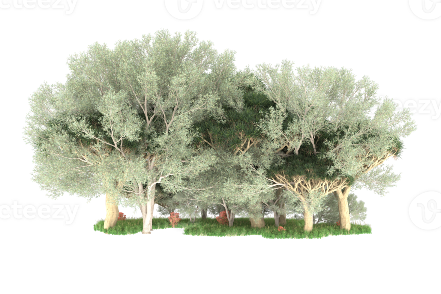 Realistic forest isolated on transparent background. 3d rendering - illustration png
