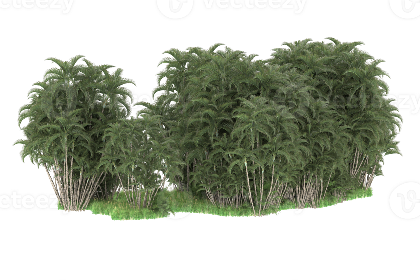 Realistic forest isolated on transparent background. 3d rendering - illustration png