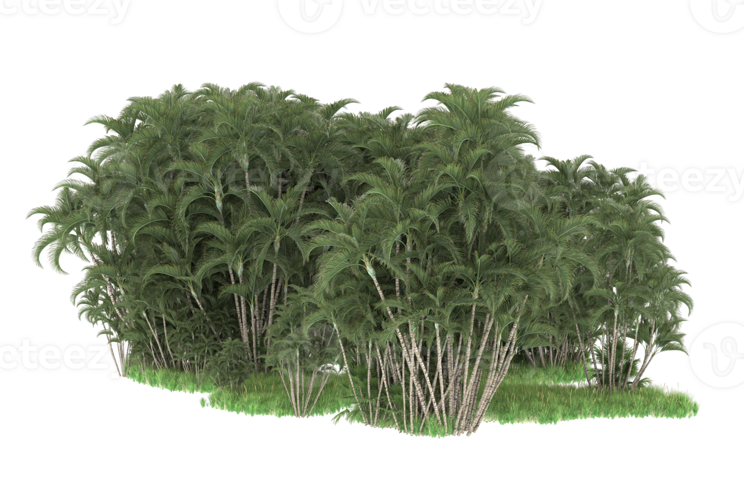 Realistic forest isolated on transparent background. 3d rendering - illustration png