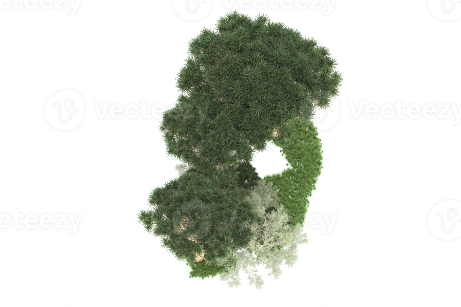 Realistic forest isolated on transparent background. 3d rendering - illustration png