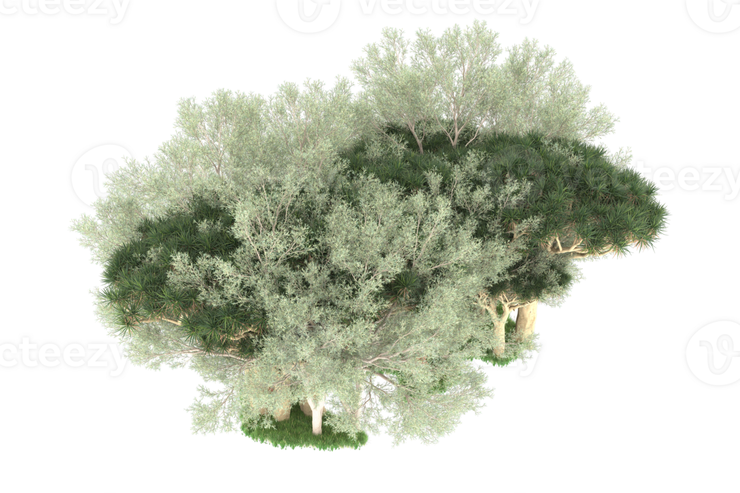 Realistic forest isolated on transparent background. 3d rendering - illustration png