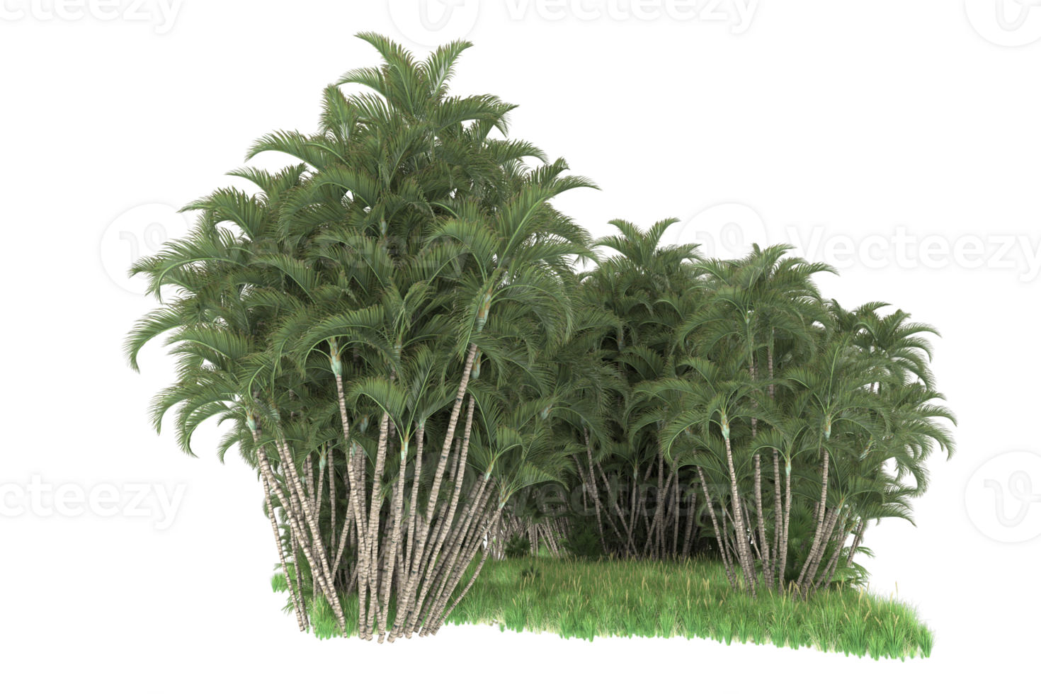 Realistic forest isolated on transparent background. 3d rendering - illustration png