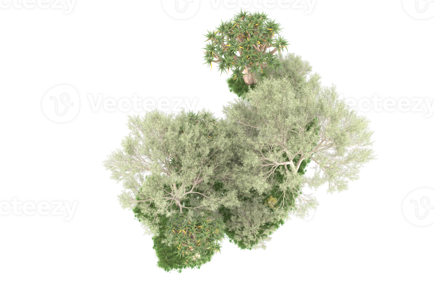 Realistic forest isolated on transparent background. 3d rendering - illustration png