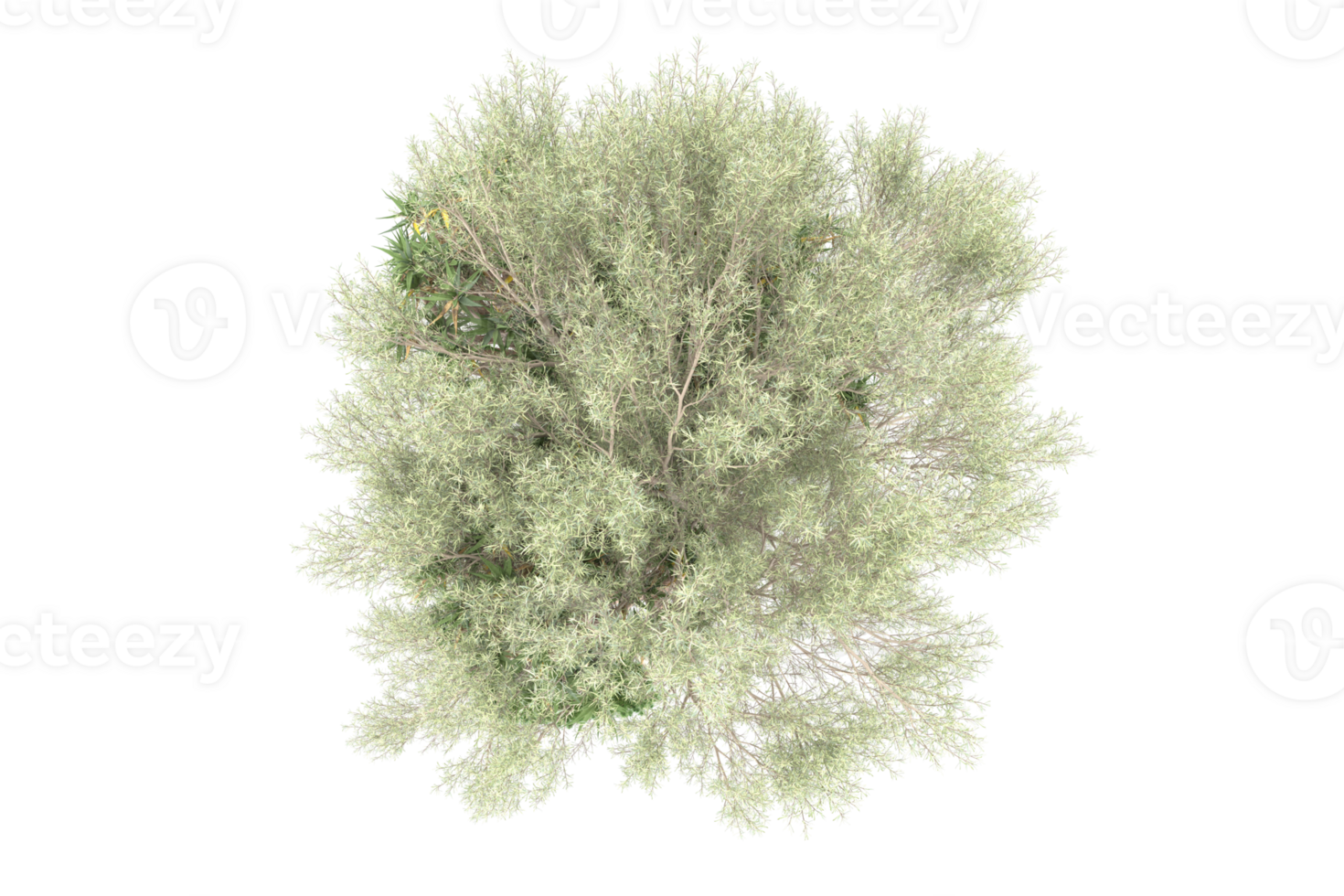 Realistic forest isolated on transparent background. 3d rendering - illustration png