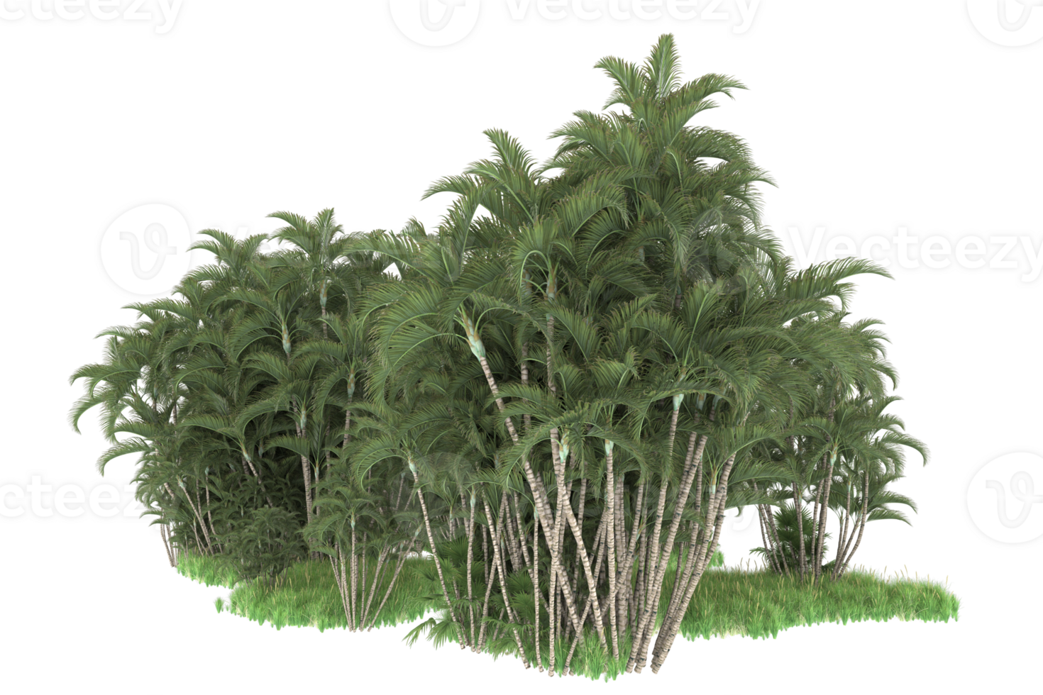 Realistic forest isolated on transparent background. 3d rendering - illustration png