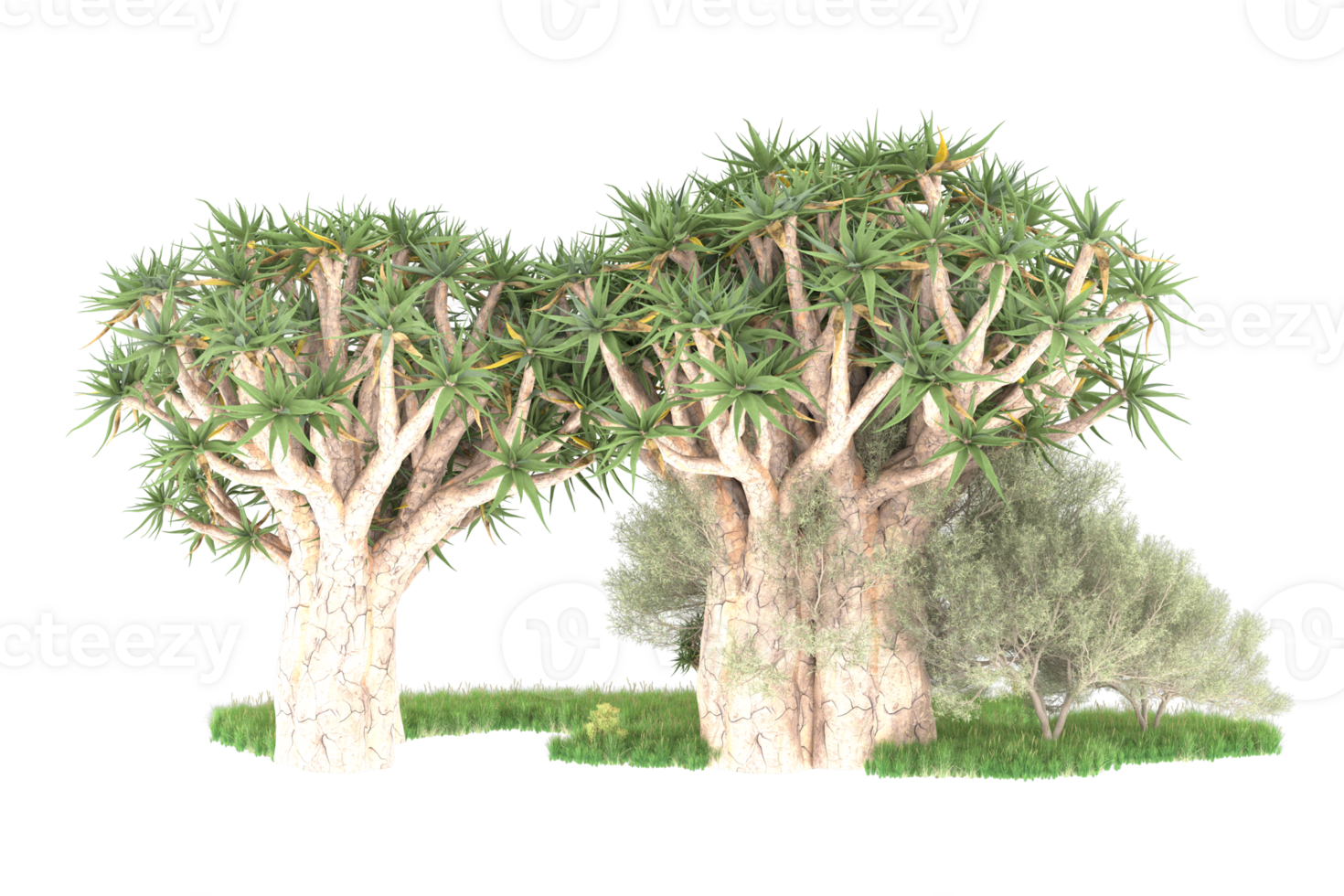 Realistic forest isolated on transparent background. 3d rendering - illustration png