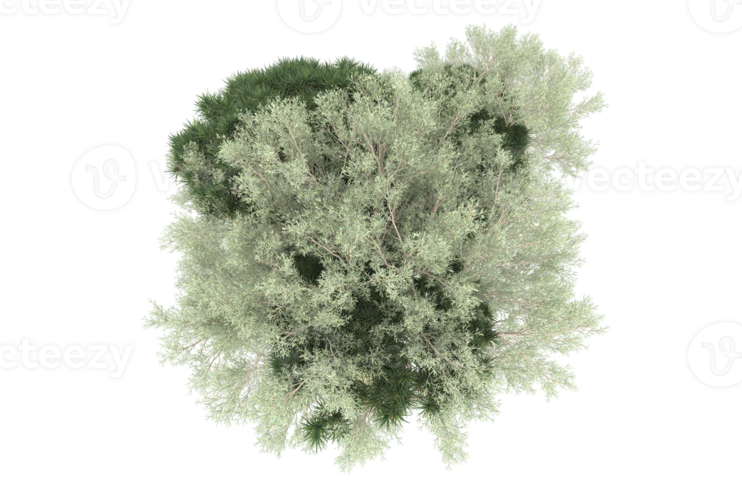 Realistic forest isolated on transparent background. 3d rendering - illustration png