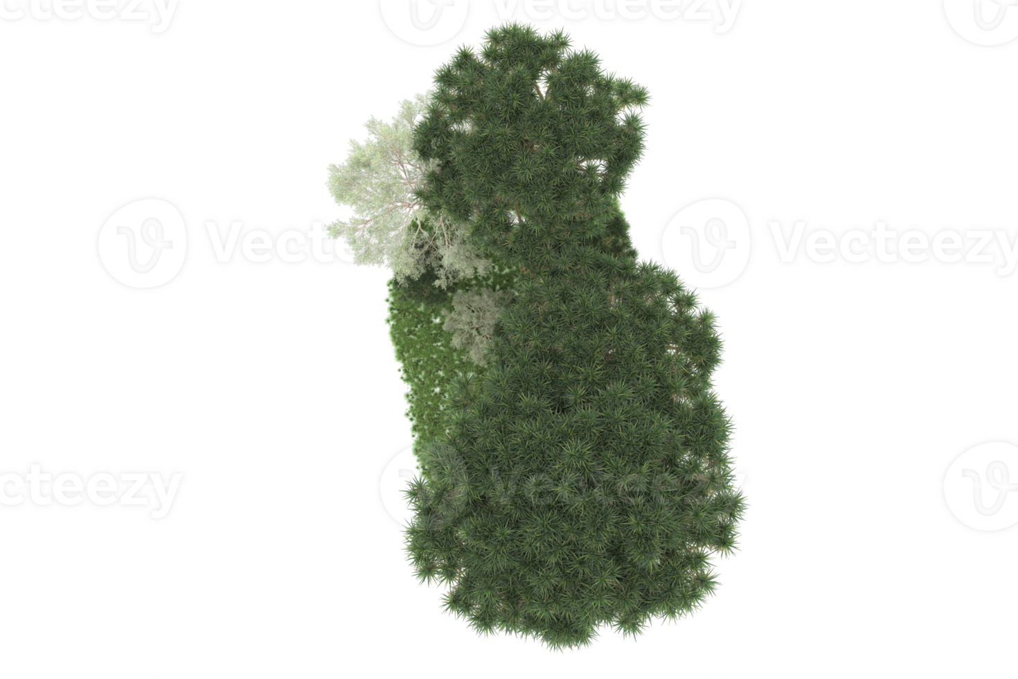 Realistic forest isolated on transparent background. 3d rendering - illustration png