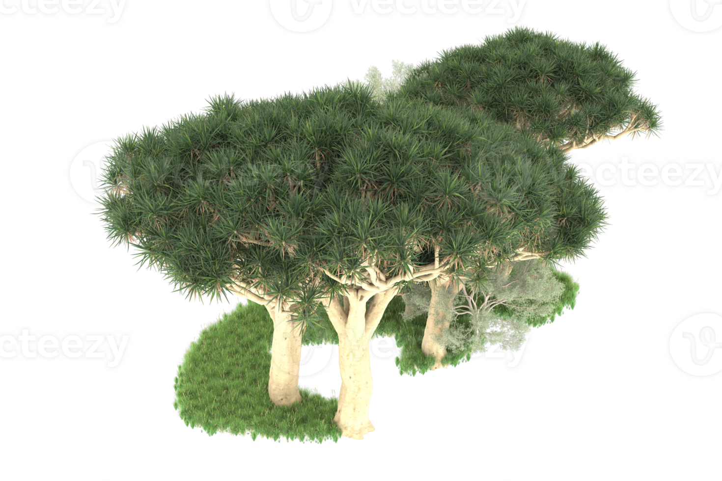 Realistic forest isolated on transparent background. 3d rendering - illustration png