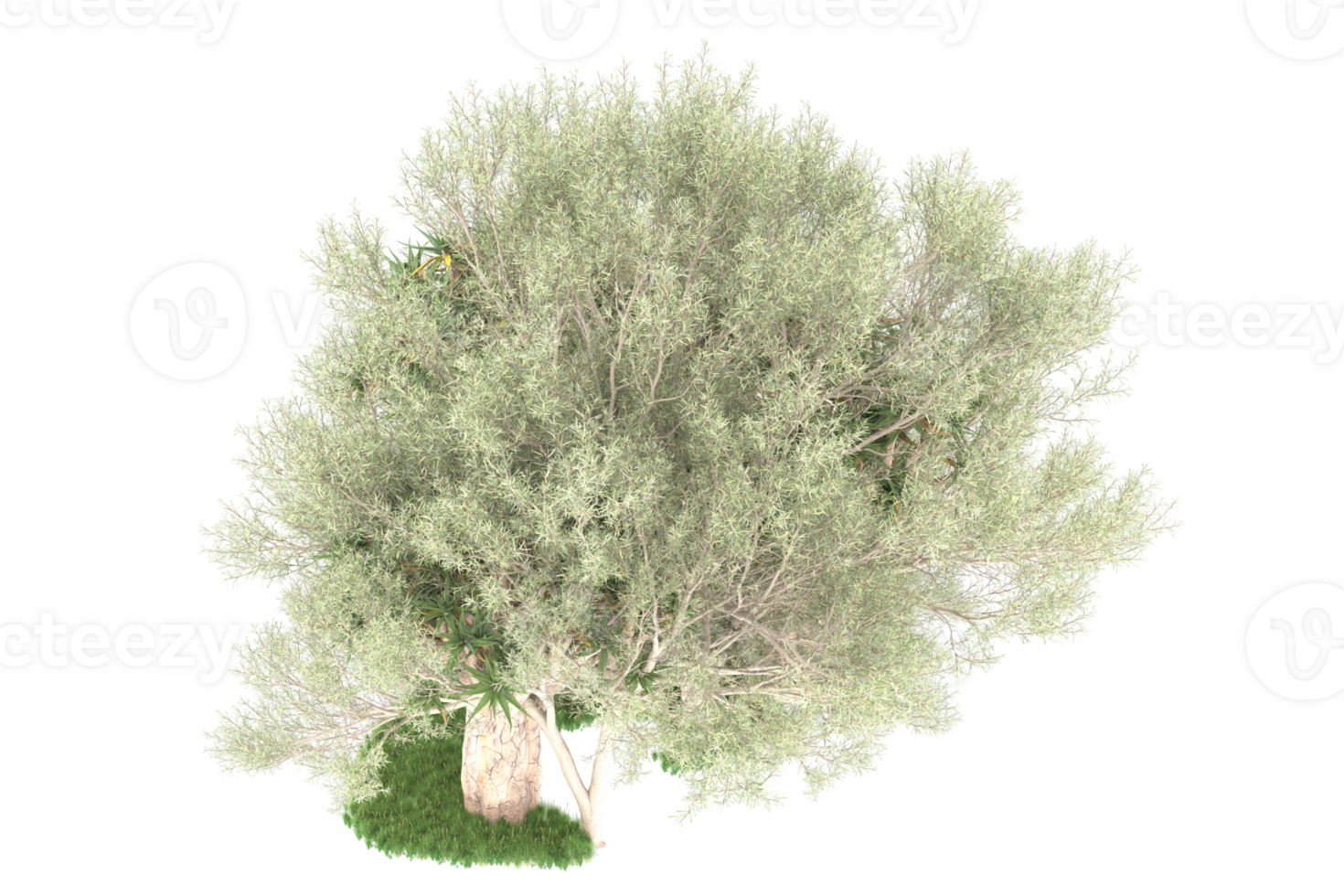 Realistic forest isolated on transparent background. 3d rendering - illustration png