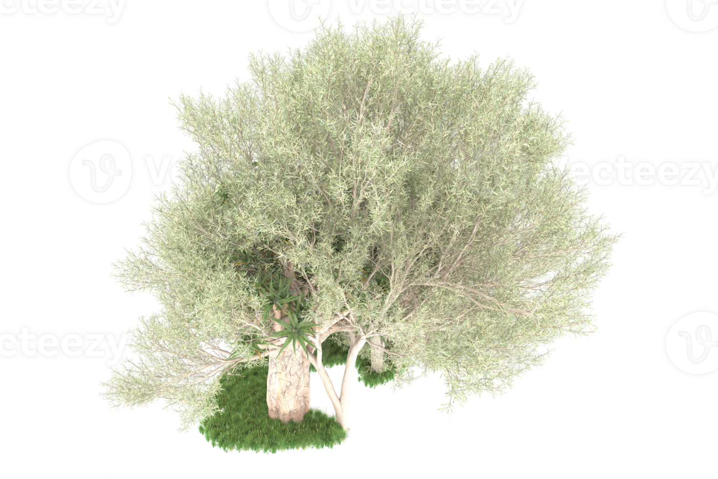 Realistic forest isolated on transparent background. 3d rendering - illustration png