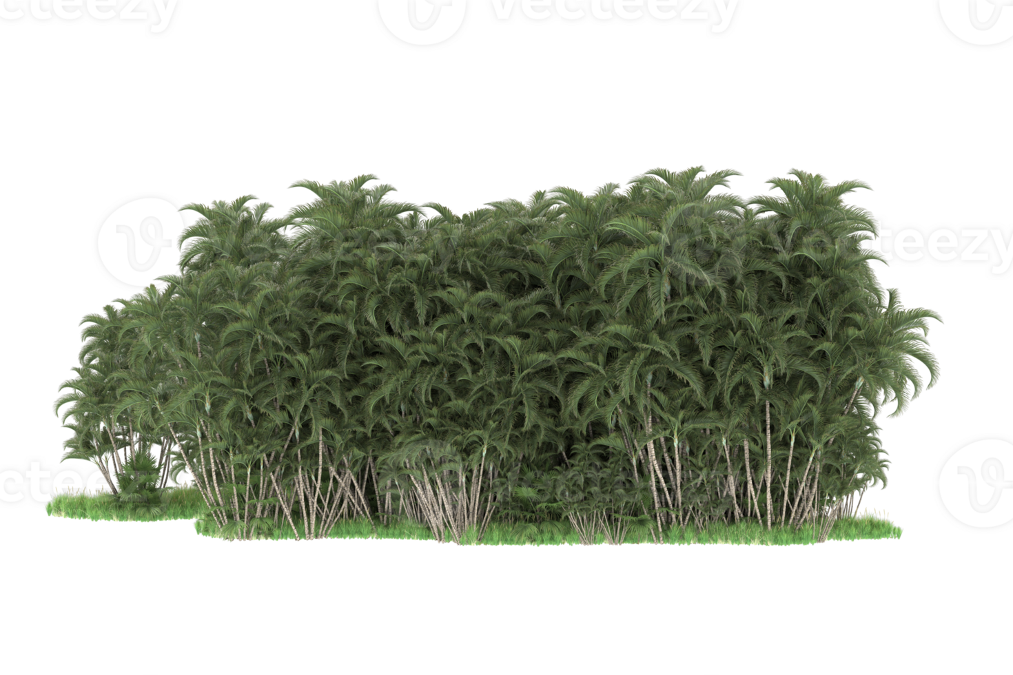 Realistic forest isolated on transparent background. 3d rendering - illustration png