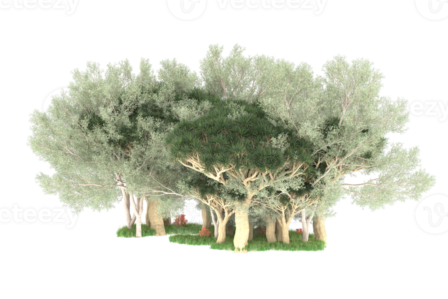 Realistic forest isolated on transparent background. 3d rendering - illustration png