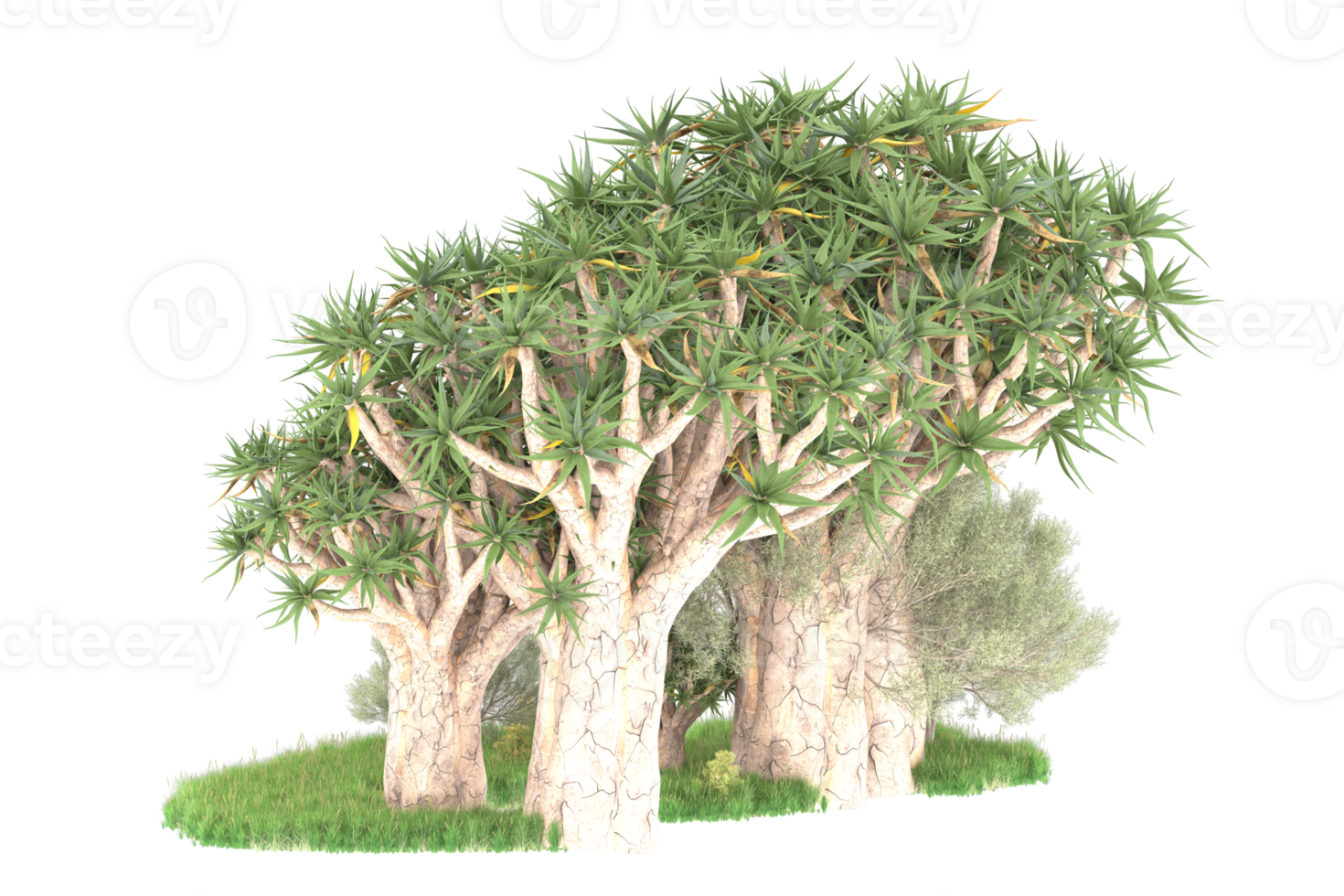 Realistic forest isolated on transparent background. 3d rendering - illustration png