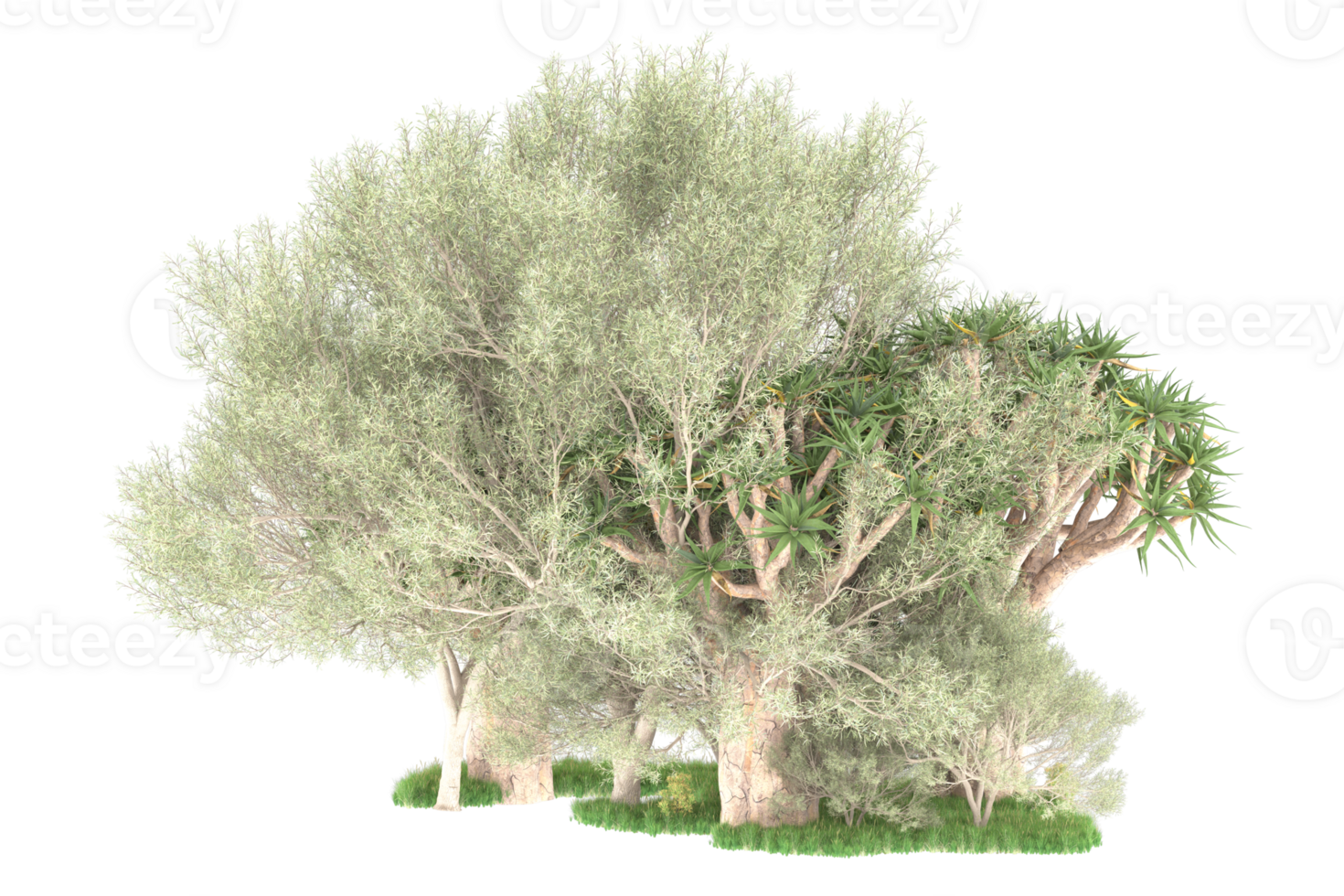 Realistic forest isolated on transparent background. 3d rendering - illustration png
